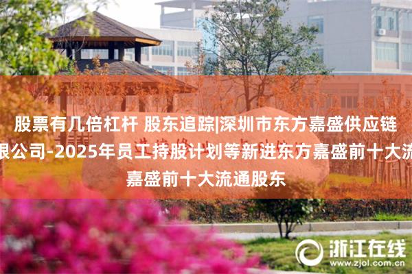 股票有几倍杠杆 股东追踪|深圳市东方嘉盛供应链股份有限公司-2025年员工持股计划等新进东方嘉盛前十大流通股东
