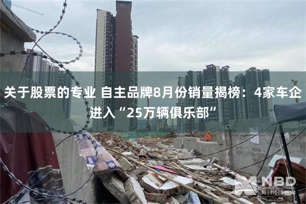 关于股票的专业 自主品牌8月份销量揭榜：4家车企进入“25万辆俱乐部”